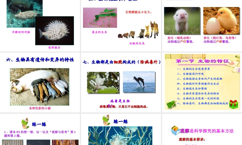 2014年秋七年级生物上册 1.1 生物的特征课件 （新版）新人教版