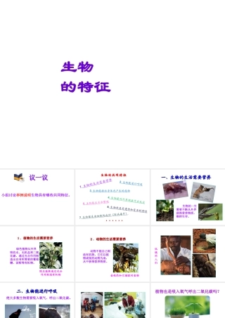 2014年秋七年级生物上册 1.1 生物的特征课件 （新版）新人教版