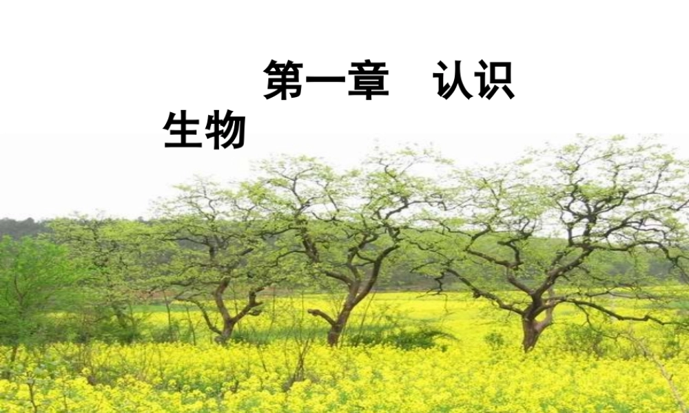 2014年秋七年级生物上册 1.1.1 生物的特征课件 新人教版