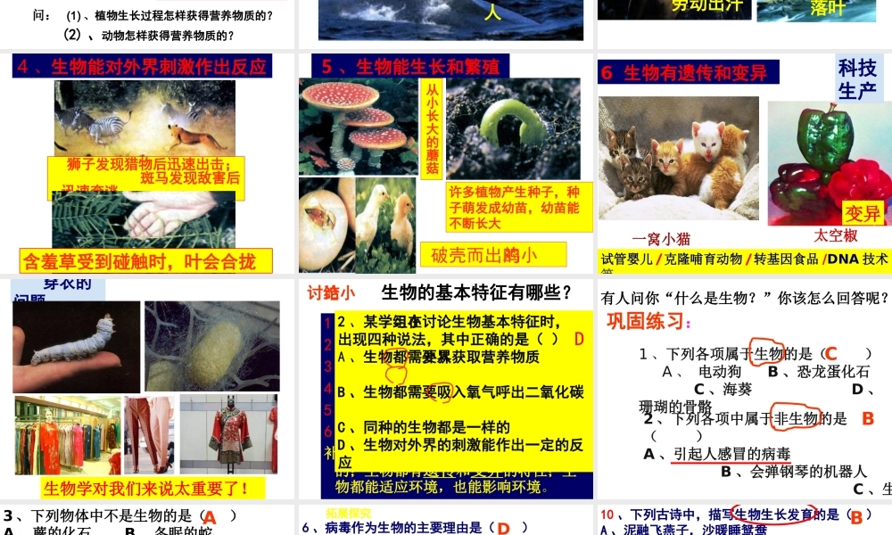 2014年秋七年级生物上册 1.1.1 生物的特征课件 新人教版