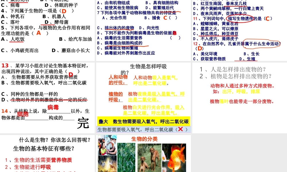 2014年秋七年级生物上册 1.1.1 生物的特征课件 新人教版