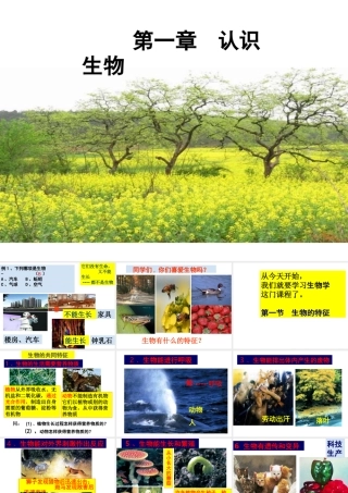 2014年秋七年级生物上册 1.1.1 生物的特征课件 新人教版