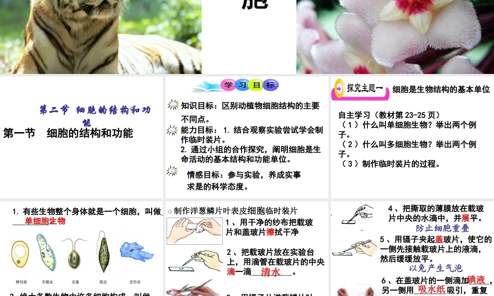 2014年秋七年级生物上册 1.2.1 细胞的结构和功能课件 （新版）济南版