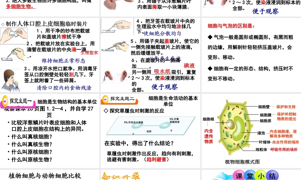 2014年秋七年级生物上册 1.2.1 细胞的结构和功能课件 （新版）济南版