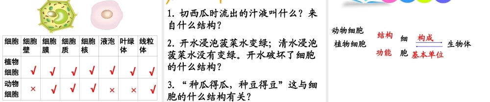 2014年秋七年级生物上册 1.2.1 细胞的结构和功能课件 （新版）济南版