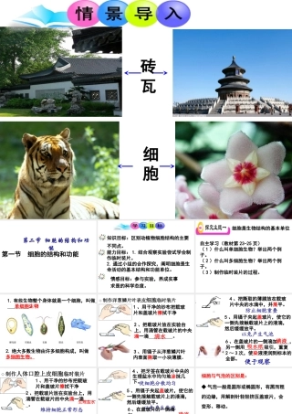 2014年秋七年级生物上册 1.2.1 细胞的结构和功能课件 （新版）济南版