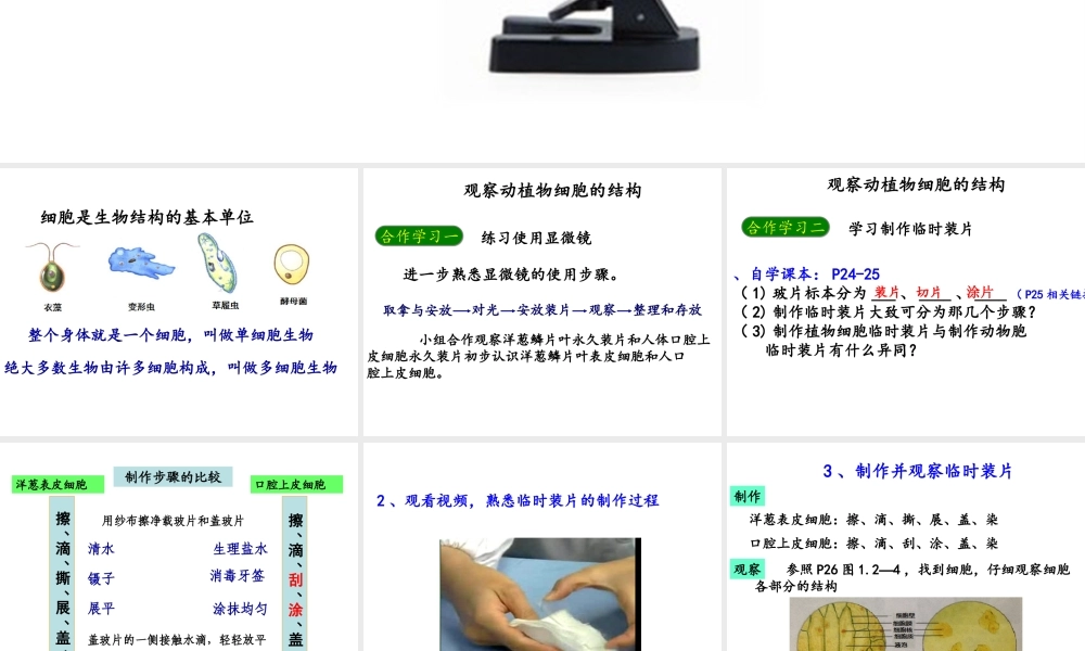2014年秋七年级生物上册 1.2.1细胞的结构和功能 济南版