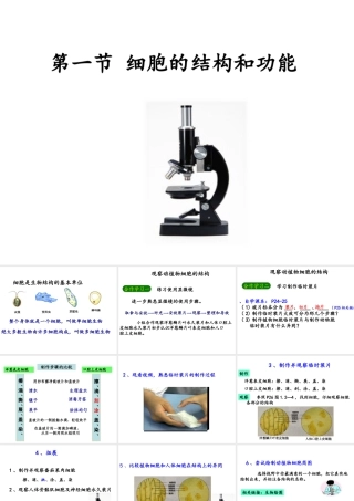 2014年秋七年级生物上册 1.2.1细胞的结构和功能 济南版