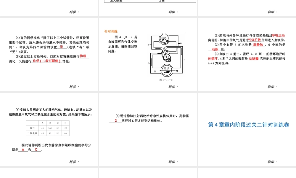 2014届中考科学复习练习 九上 第4章 代谢与平衡（章内阶段过关+综合过关检测针对训练+阶段综合测试一针对训练）课件 浙教版