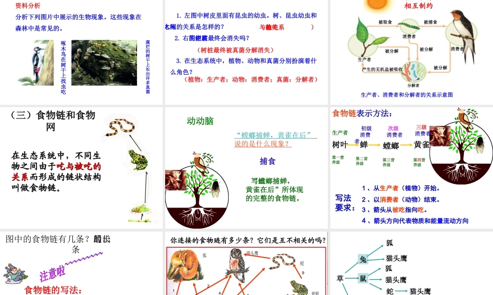 2014年秋七年级生物上册 1.2.2 生物与环境组成生态系统课件 （新版）新人教版