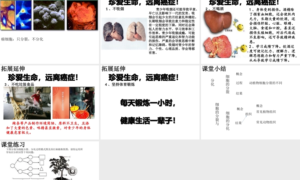 2014年秋七年级生物上册 1.2.2 细胞的分裂与分化课件 （新版）济南版