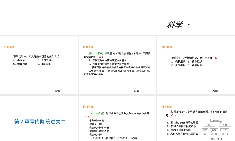 2014届中考科学复习练习 七上 第2章 观察生物（章内阶段过关+综合过关检测针对训练+阶段综合测试一针对训练）课件 浙教版