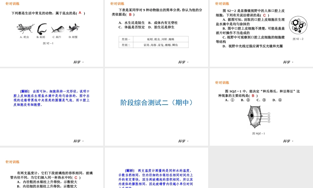 2014届中考科学复习练习 七上 第2章 观察生物（章内阶段过关+综合过关检测针对训练+阶段综合测试一针对训练）课件 浙教版