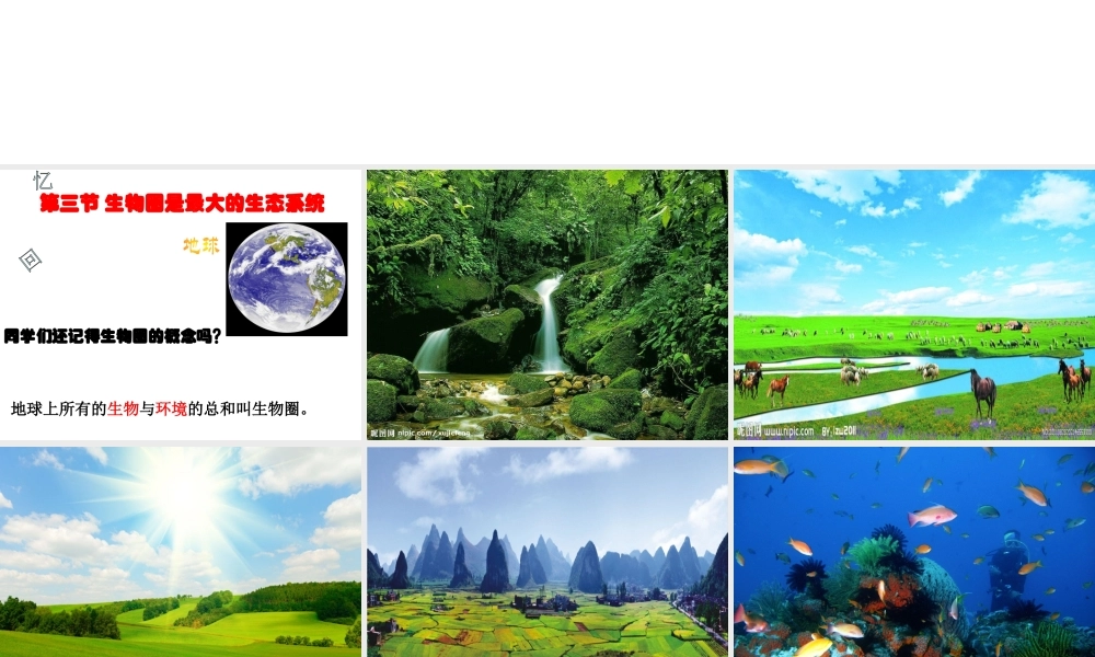 2014年秋七年级生物上册 1.2.3 生物圈是最大的生态系统课件 新人教版