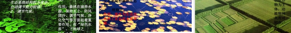 2014年秋七年级生物上册 1.2.3 生物圈是最大的生态系统课件 新人教版