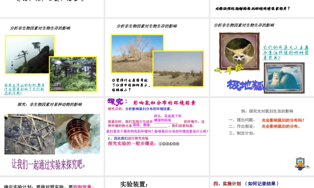 2014年秋七年级生物上册 2.1 生物与环境的关系课件 （新版）新人教版