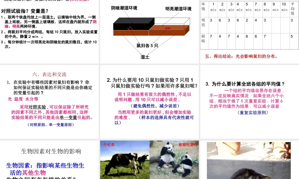 2014年秋七年级生物上册 2.1 生物与环境的关系课件 （新版）新人教版