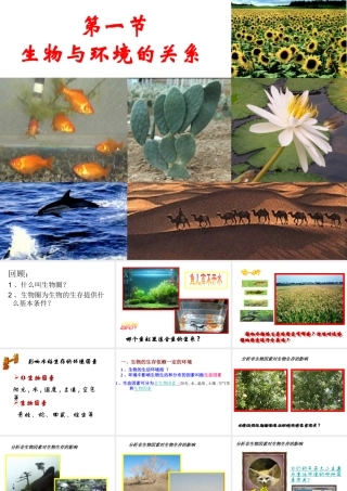 2014年秋七年级生物上册 2.1 生物与环境的关系课件 （新版）新人教版