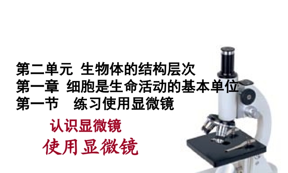2014年秋七年级生物上册 2.1.1 练习使用显微镜说课课件 新人教版