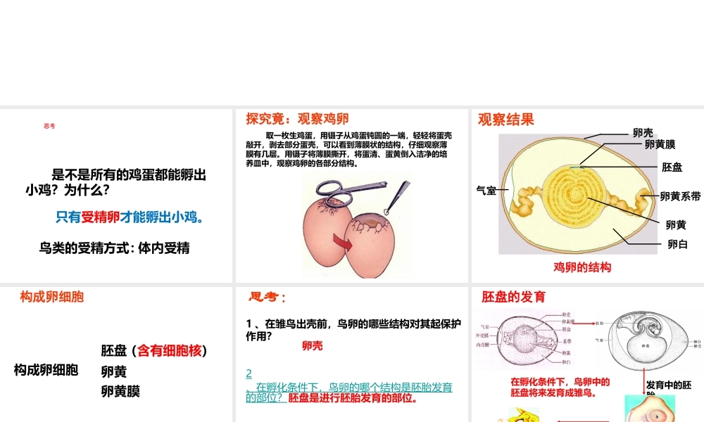 2014-2015学年八年级生物下册 6.1.2《动物的生殖和发育》鸟类的生殖和发育课件 冀教版