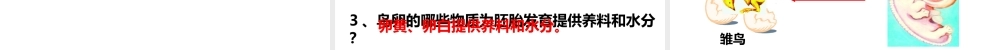 2014-2015学年八年级生物下册 6.1.2《动物的生殖和发育》鸟类的生殖和发育课件 冀教版