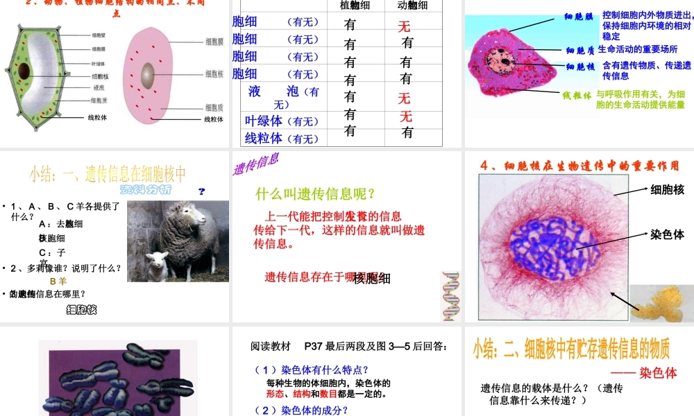 2014年秋七年级生物上册 3.2 人和动物细胞的结构和功能课件 苏教版