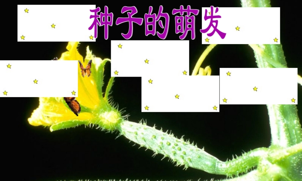 2014年秋七年级生物上册 3.2.1 种子的萌发课件 新人教版