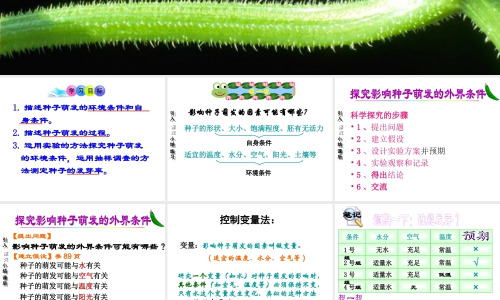 2014年秋七年级生物上册 3.2.1 种子的萌发课件 新人教版