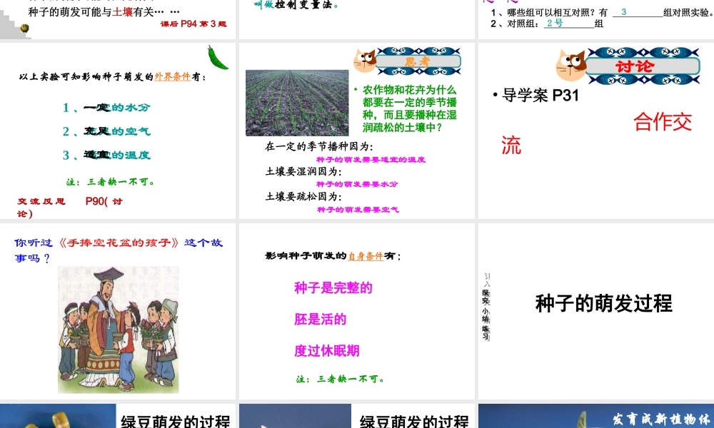 2014年秋七年级生物上册 3.2.1 种子的萌发课件 新人教版