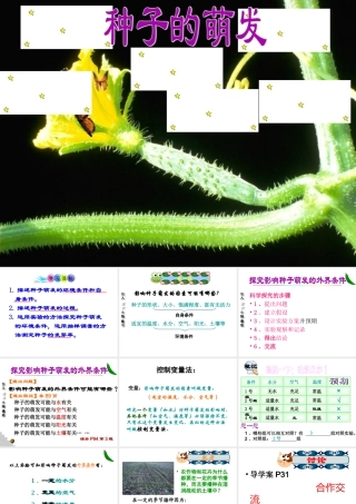 2014年秋七年级生物上册 3.2.1 种子的萌发课件 新人教版