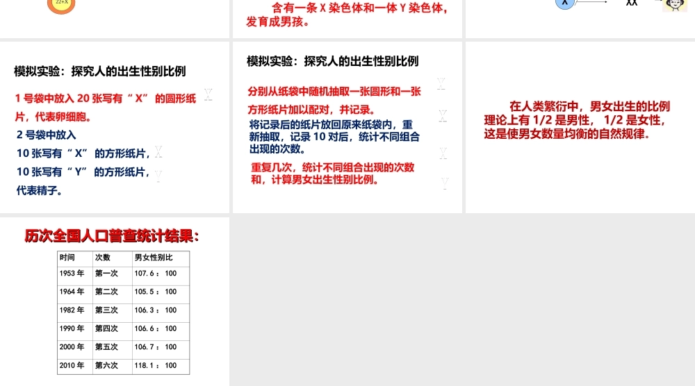 2014-2015学年八年级生物下册 6.2.1《遗传》人的性别决定课件 冀教版