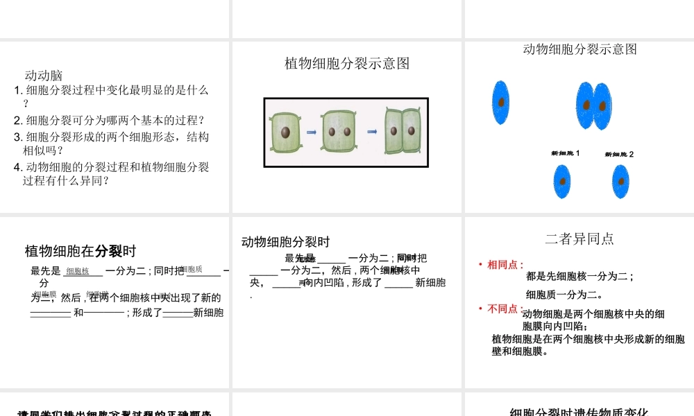 2014年秋七年级生物上册 4.1 细胞的分裂与分化课件 苏教版