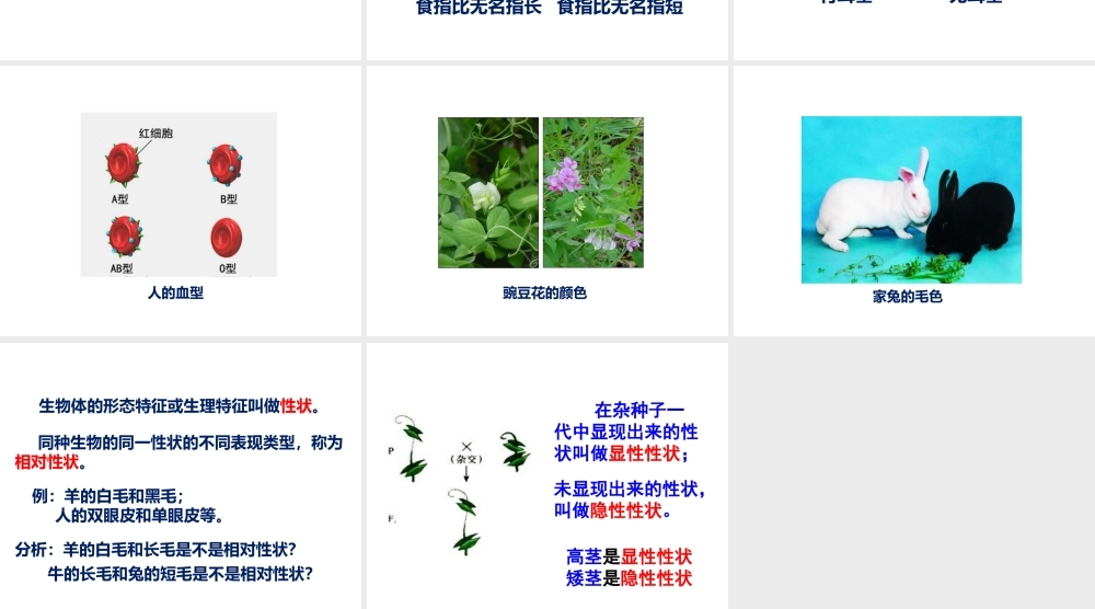 2014-2015学年八年级生物下册 6.2.1《遗传》生物的性状课件 冀教版