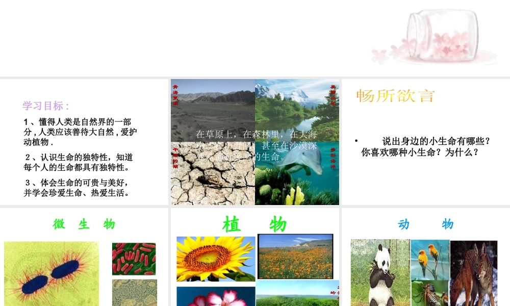 2014年秋七年级政治上册 第一单元 第一课 多彩的生命世界课件 鲁教版