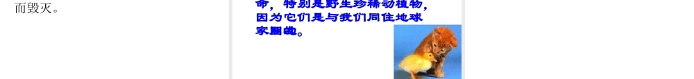 2014年秋七年级政治上册 第一单元 第一课 多彩的生命世界课件 鲁教版