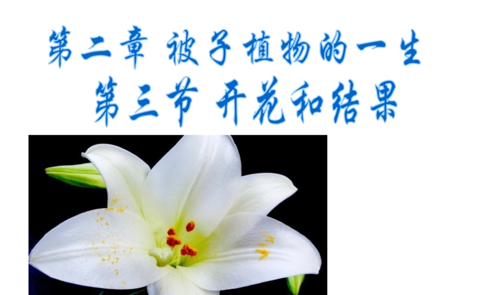 2014年秋七年级生物上册 5.5 植物的开花和结果课件 苏教版