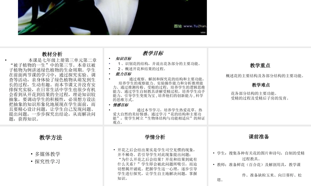 2014年秋七年级生物上册 5.5 植物的开花和结果课件 苏教版