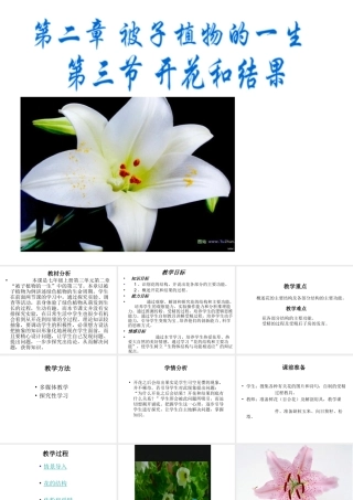 2014年秋七年级生物上册 5.5 植物的开花和结果课件 苏教版