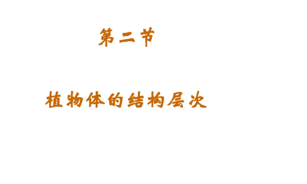 2014年秋七年级生物上册 第二单元 第二章 第三节 植物体的结构层次课件 （新版）新人教版
