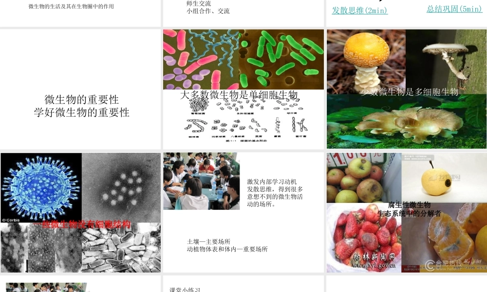 2014年秋七年级生物上册 第二单元 第三章 第四节 微生物在生物圈中的作用课件 （新版）济南版