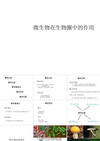 2014年秋七年级生物上册 第二单元 第三章 第四节 微生物在生物圈中的作用课件 （新版）济南版
