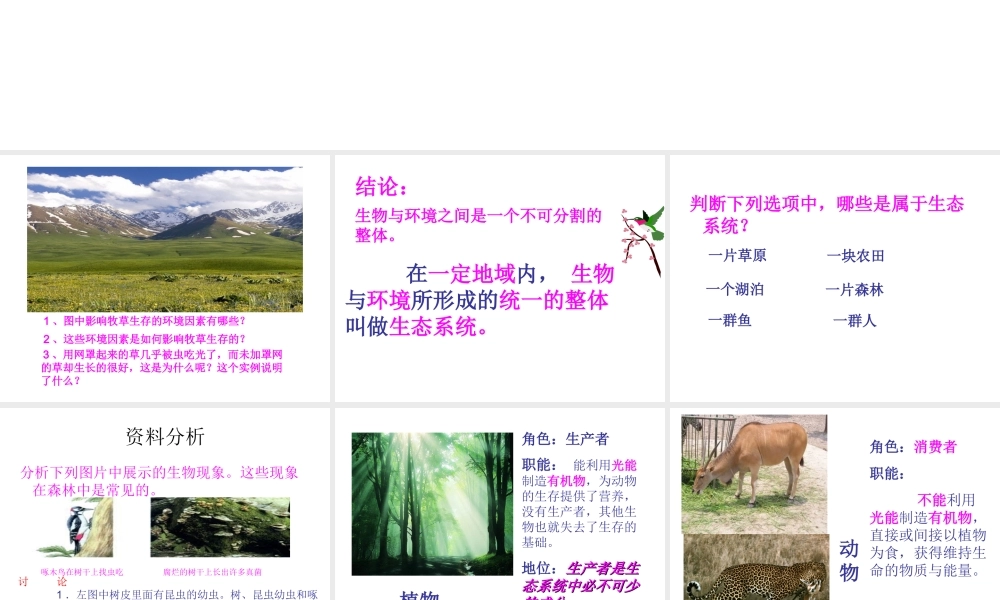 2014年秋七年级生物上册 第二章 第二节 生物与环境组成生态系统课件 新人教版