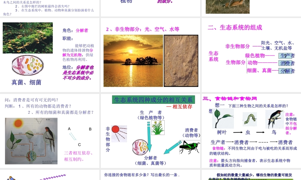 2014年秋七年级生物上册 第二章 第二节 生物与环境组成生态系统课件 新人教版