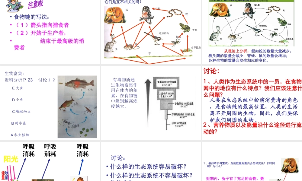 2014年秋七年级生物上册 第二章 第二节 生物与环境组成生态系统课件 新人教版