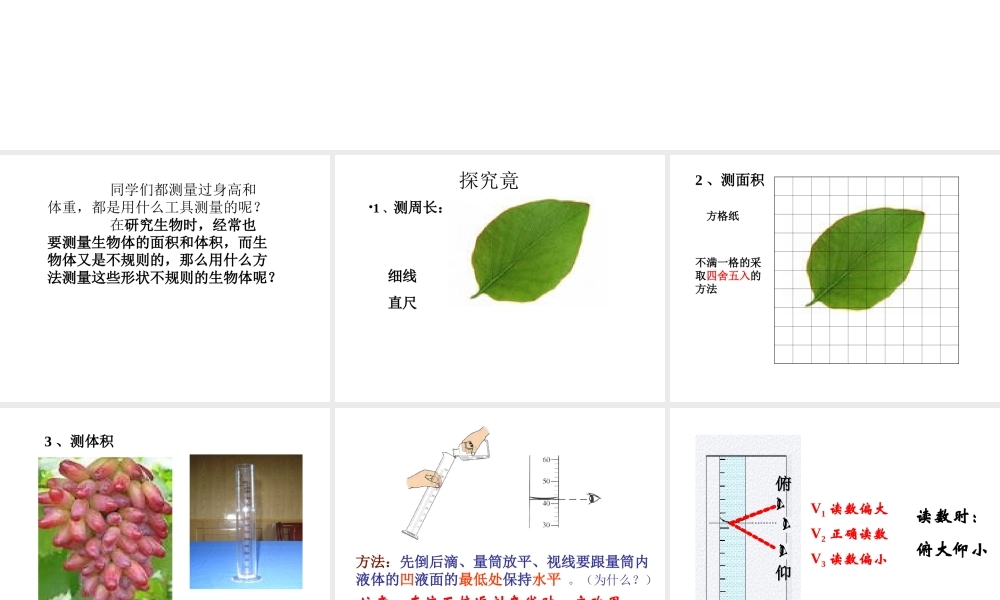 2014-2015学年七年级生物上册 第1单元 第1章 第3节 练习测量课件 河北少儿版