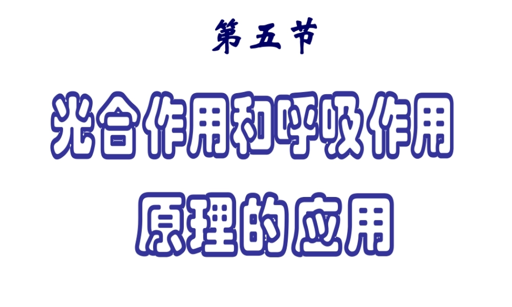 2014年秋七年级生物上册 第六章 第五节 光合作用和呼吸作用原理的应用课件 苏教版