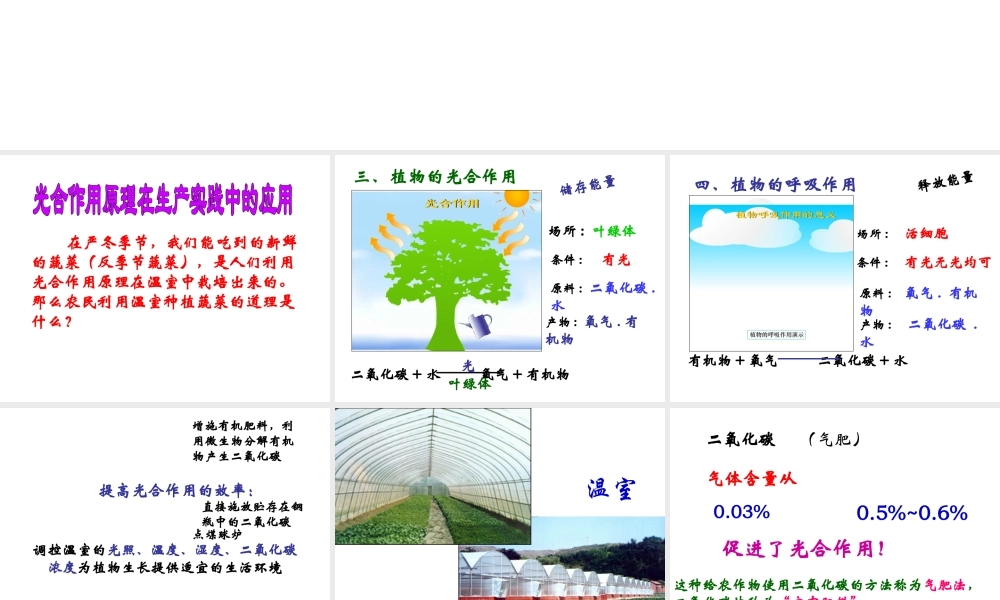 2014年秋七年级生物上册 第六章 第五节 光合作用和呼吸作用原理的应用课件 苏教版