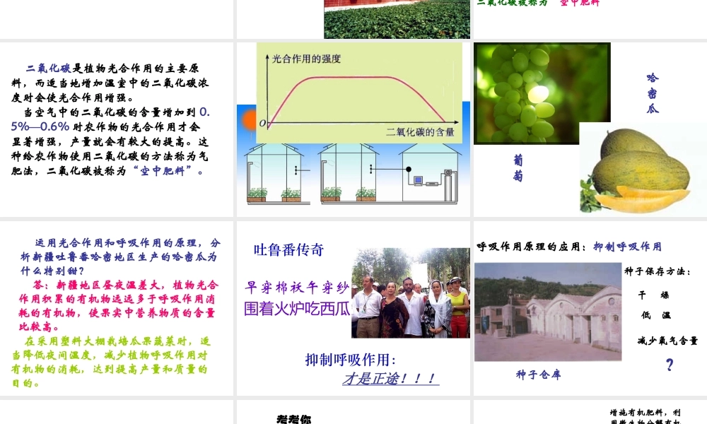 2014年秋七年级生物上册 第六章 第五节 光合作用和呼吸作用原理的应用课件 苏教版
