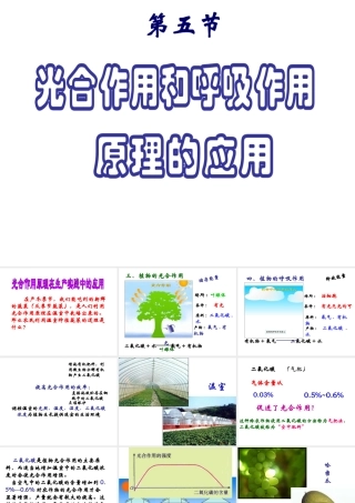2014年秋七年级生物上册 第六章 第五节 光合作用和呼吸作用原理的应用课件 苏教版