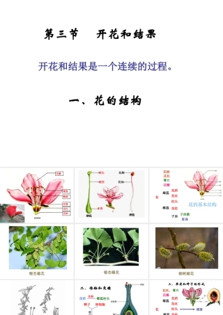 2014年秋七年级生物上册 第三单 第二章 第三节 开花和结果课件 新人教版